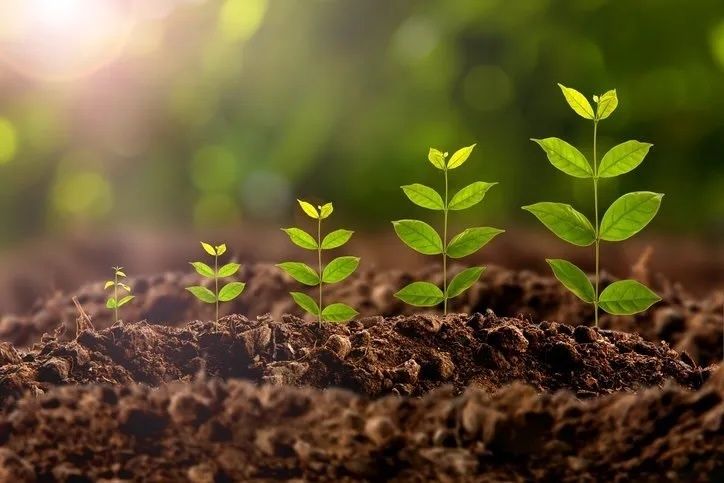 How Leading E-commerce Brands Drive Growth with AI's Customizer implementation